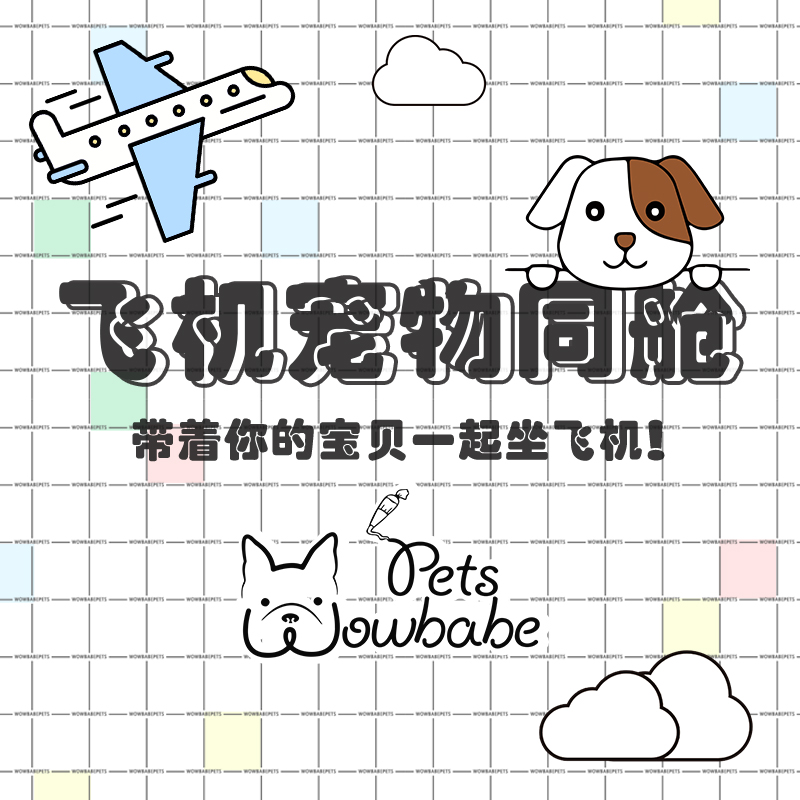 ESA宠物情感抚慰犬证代办狗狗同客舱随机飞行国外航空非托运空运