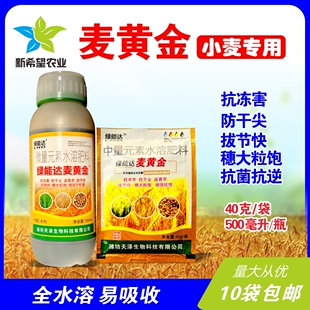 麦黄金 小麦专用叶面肥 麦子防冻害防干尖穗大粒饱 麦田地营养肥