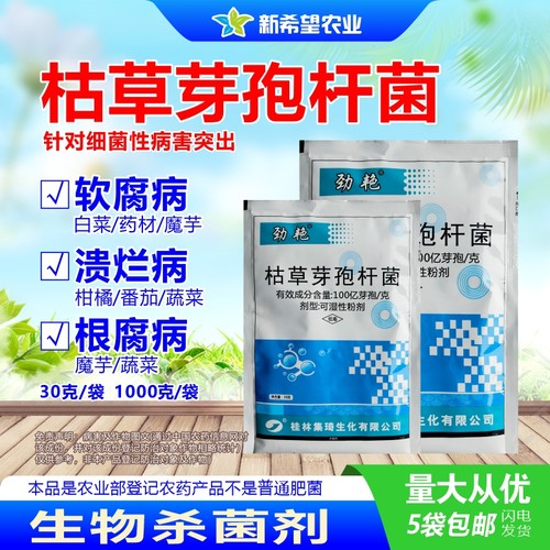 叶菜软腐病柑橘枯草芽孢杆菌