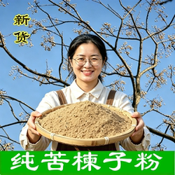 新鲜苦楝子粉新鲜苦楝子中药村 非川楝子 泡脚洗头自制蔬菜杀虫剂