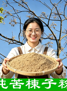 新鲜苦楝子粉新鲜苦楝子中药村 非川楝子 泡脚洗头自制蔬菜杀虫剂