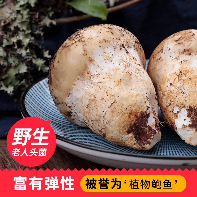 滇百味云南新鲜老人头菌仙人头野生食用菌菇素食肥厚口感500g