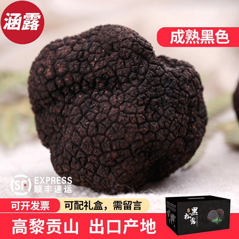 新鲜黑松露野生菌5cm新鲜成熟块菌猪拱菌云南高黎贡山500g