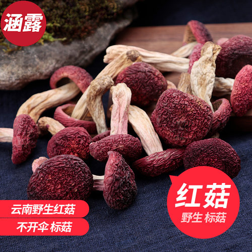 云南思茅野生大红菇不开伞菇250g