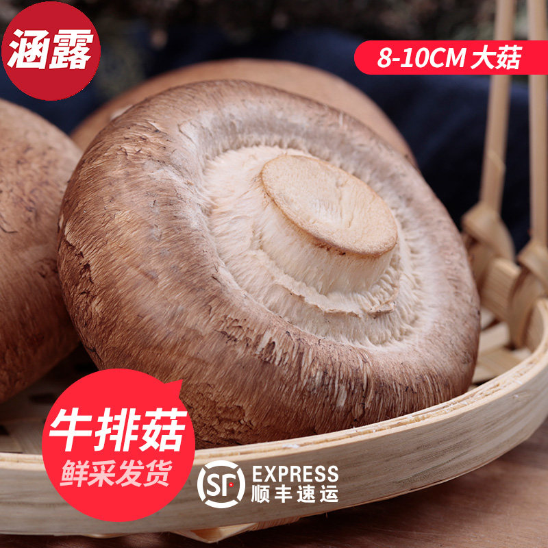 新鲜牛排菇褐菇波多黎各菌大菇可烧烤生食鲜嫩食用菌蘑菇2斤1000g