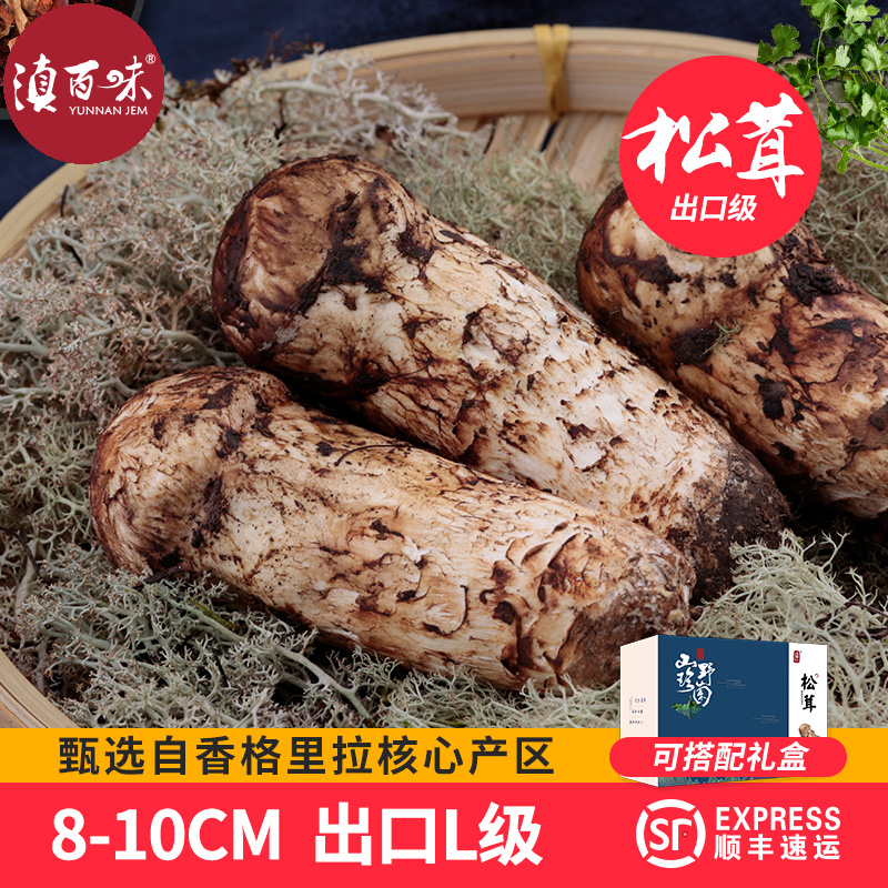 2022新鲜松茸8-10cm松口蘑云南特产香格里拉鲜松茸蘑菇500g非干货|ruв категории зерно риса/север и Юг сухих грузов/приправы, север и Юг сухих грузов/мясо сухих грузов, сухогрузный/родной, Мацутакэ - от Buy2taobao.com для оказания профессиональной услуги покупки агента Taobao