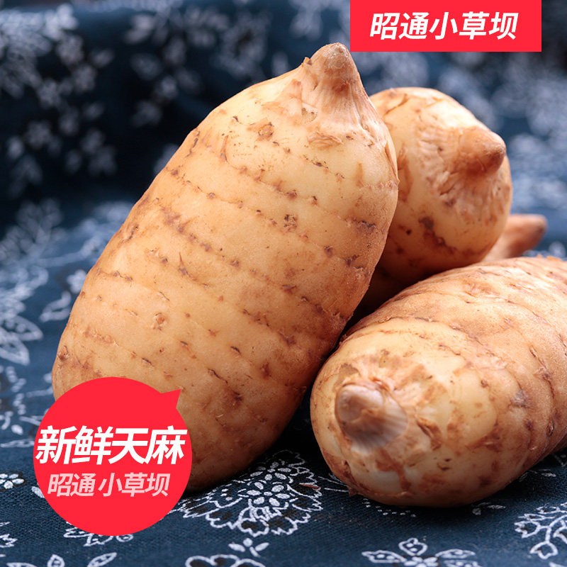 天麻野生云南特产昭通小草坝天麻新鲜乌天麻现挖鲜天麻500g