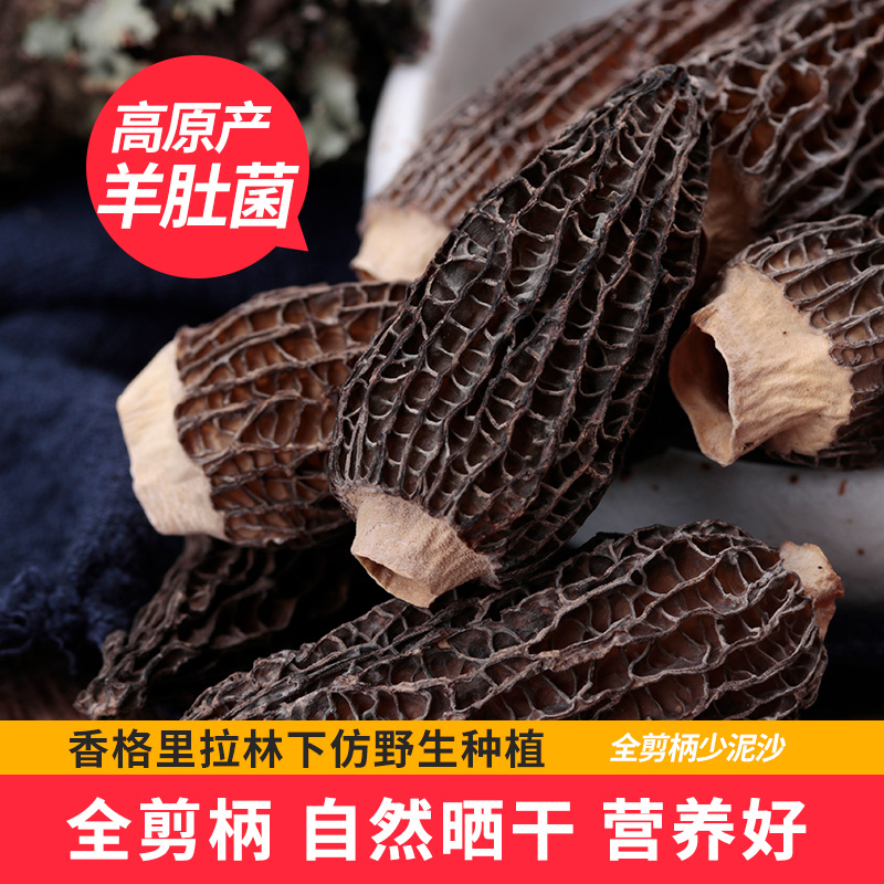 羊肚菌干货野生农家云南特产