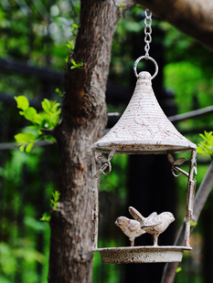 比如树│做旧铁艺复古垂吊花架鸟笼 喂鸟器花园吊篮 家居橱窗软u.