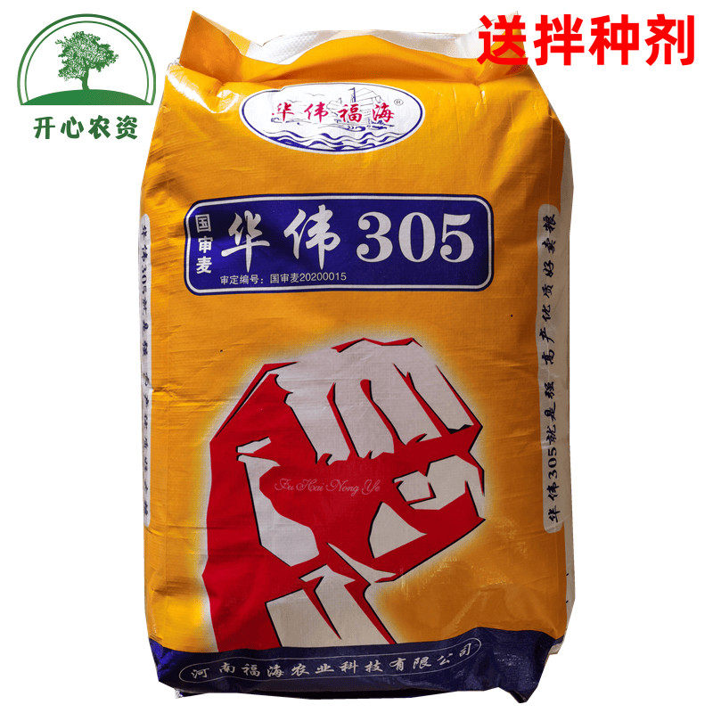 华伟305小麦种子国审麦矮杆大穗抗病抗倒伏优质高产原装正品