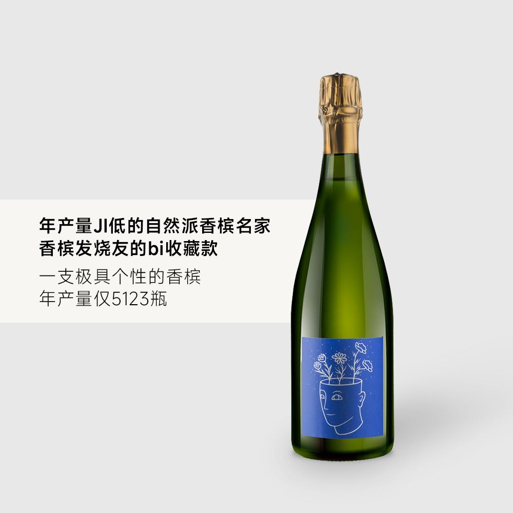 法国小农香槟ChampagneStroebel PourToi BrutNature思贝唯尔干型