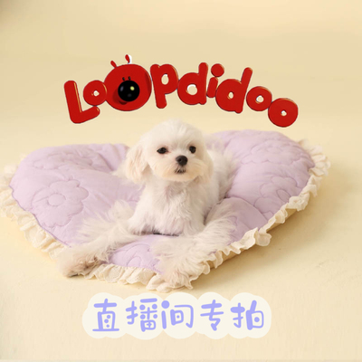 特价宠物衣服 关注店铺直播间专享