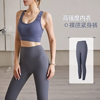 Фитнес-наряд [серый голубой + титан серый]