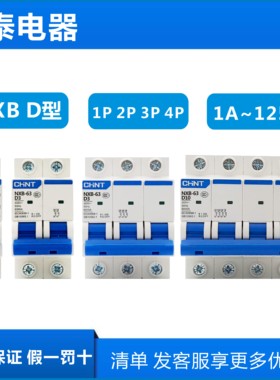 正泰 NXB-63 D型1P 2P 3P 4P电机专用 动力型 空气开关32a63a125A