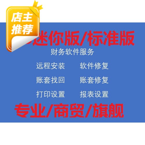erp迷你标准专业版商贸旗舰k3wise远程技术服务 财务软件售后