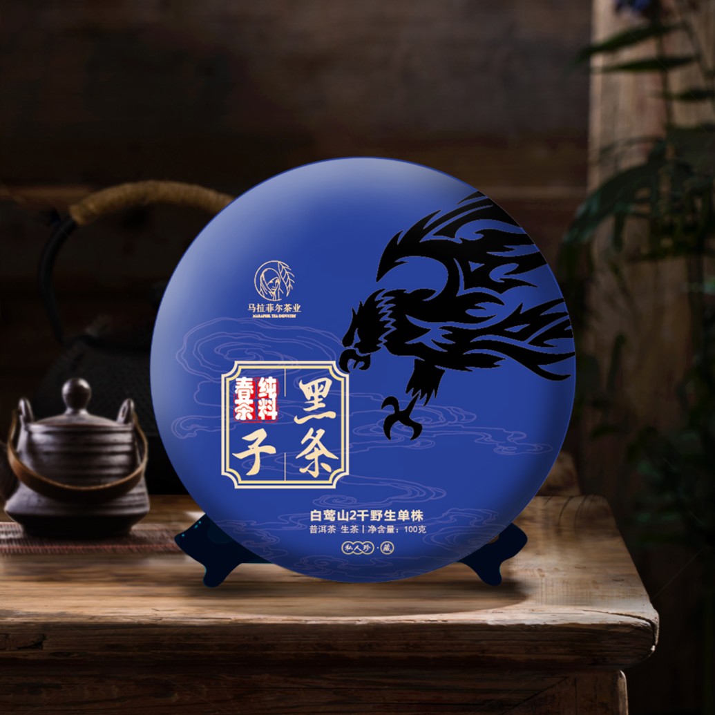 临沧白莺山黑条子2000年古树单株100g 饼 2023年头春头采普洱茶生