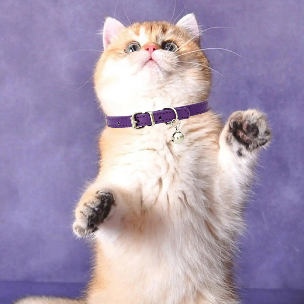 日式简约猫咪项链ins风猫猫铃铛项圈猫咪小型犬通用约克夏宠物项