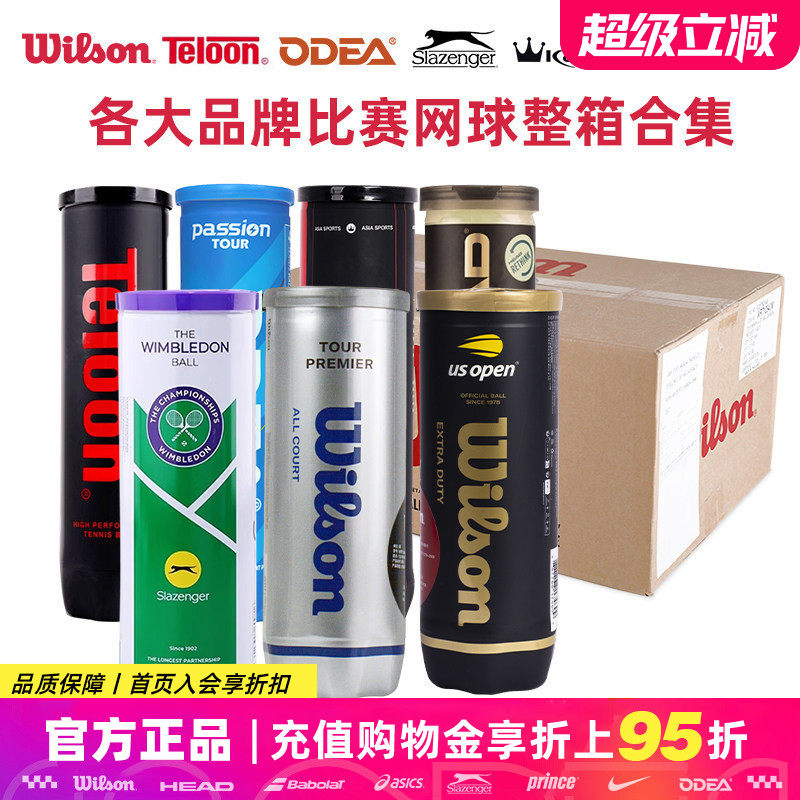 Wilson/史莱辛格/欧帝尔Passion/康龙/天龙Pound P4训练比赛网球