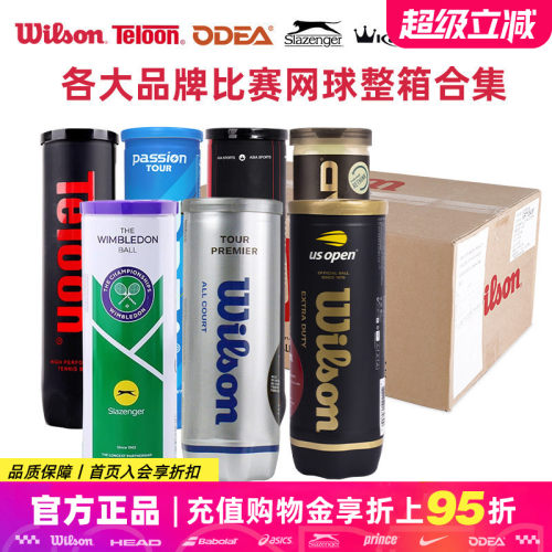 Wilson/史莱辛格/欧帝尔Passion/康龙/天龙Pound P4训练比赛网球