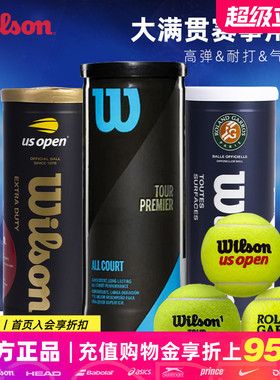Wilson威尔胜网球威尔逊有压球上海大师赛美网法网专业训练比赛球