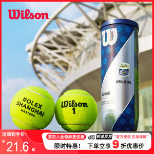 Wilson威尔胜网球威尔逊有压球上海大师赛美网法网专业训练比赛球