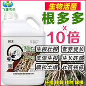 根多多强力生根壮苗剂快速生根剂冲施肥快速生根液生根催芽壮苗剂