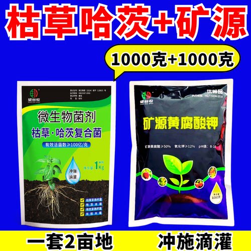 枯草哈茨木霉复合微生物菌剂