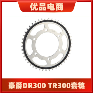 适用于豪爵XCR300 TR300 DR300 DR250静音链轮牙盘征和油封链条
