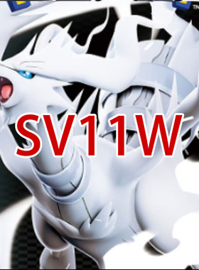 日版PTCG宝可梦 sv11W ex双R人物道具卡合集 纯白闪焰 斗子
