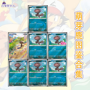 正版简中PTCG宝可梦 宝石包第四弹Vol.4 帕底亚乌波 CBB4C