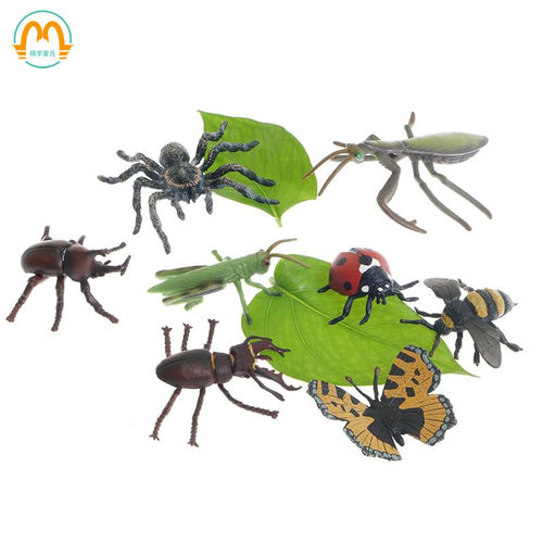蒙氏教具工作配件动物模型昆虫