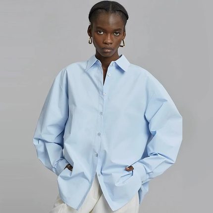 th~ row 衬衫上衣女2025年春秋季新款设计感小众长袖后开叉衬衣女