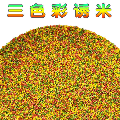 鱼诱小米颗粒钓鱼窝料