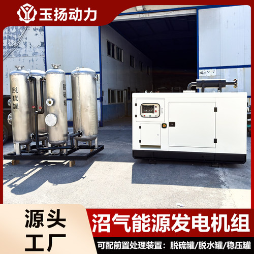 养殖场30kw沼气发电机组配套脱硫脱水设备沼气预处理稳压罐一体化