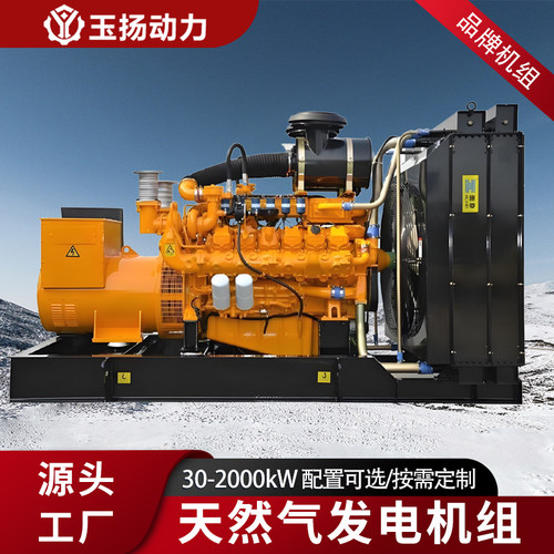 燃气发电机30-1000kw千瓦天然气发电机组 工厂/矿场电力发电设备