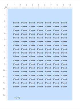 79726电镀镭射银整版模型水贴 Speed 改尺寸比例定制打印2404