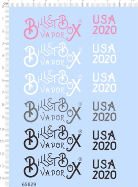 65829 Billet Box USA 2020比例模型剪纸水贴纸定做订做定制