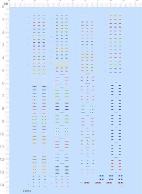 75972整版水贴 1/2000 美国海军信号旗美国国旗船舶模型2311