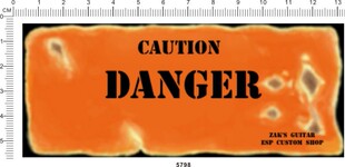 模型水贴纸 5798 caution danger 需要自行围边裁剪 509