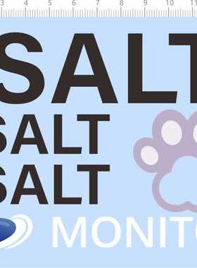 68676整版胶SALT HOME MONITOR 3D打印样板打板脚印纸模模型水贴