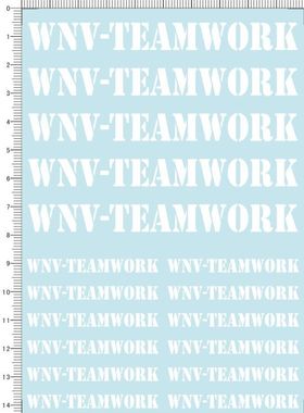 645-705# WNV-TEAMWORK (可撕膜) 水贴