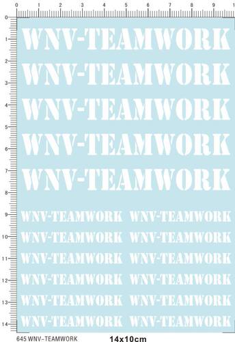 645-705# WNV-TEAMWORK (可撕膜) 水贴