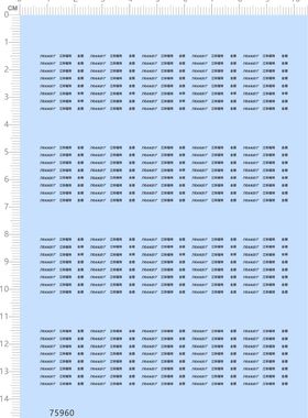 75960 江铃福特 全顺 整版亮银水贴 TRANSIT 模型车水贴2311