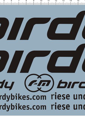 60782-A1004 个性签名英文名birdy 水贴