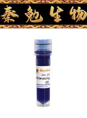 2XDNA/RNA变性上样缓冲液