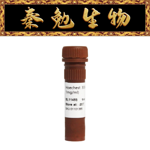 Biosharp白鲨33342细胞染色液