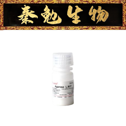 索莱宝低熔点琼脂糖A8350