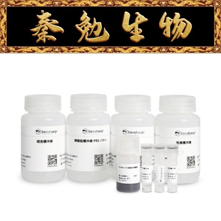 Protein G免疫沉淀试剂盒 BL1228B Biosharp白鲨