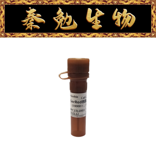 赛维尔SerRed核酸染料