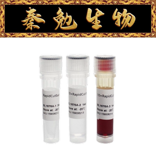 Biosharp白鲨 BL1676A RapidCut EarI 快速限制性内切酶